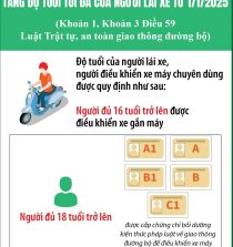Cách đổi bằng lái xe online 2025 7