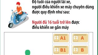 Cách đổi bằng lái xe online 2025 17