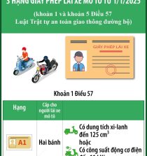 Bằng C1 lái xe gì 2026? 1